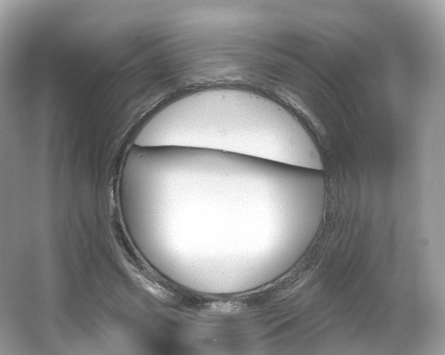 X0000066090541200603101005