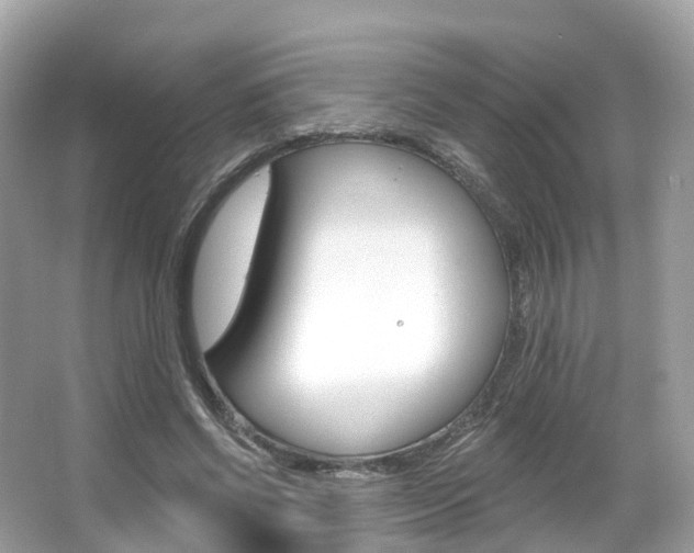 X0000066090542200603101005