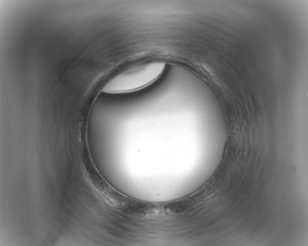 X0000066090543200603101005