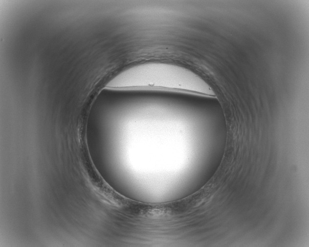 X0000066090546200603101006