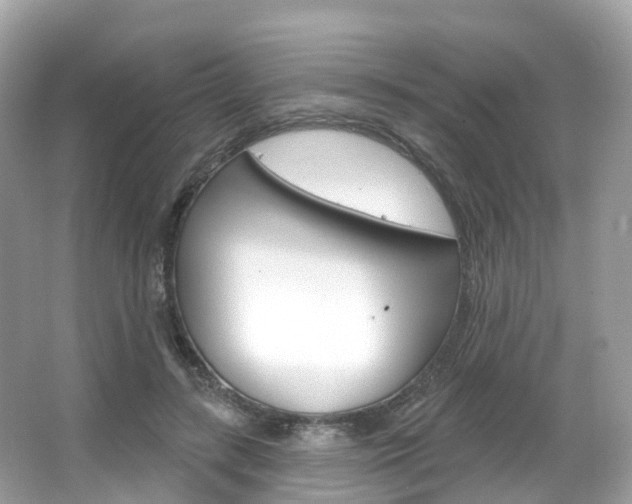X0000066090547200603101006
