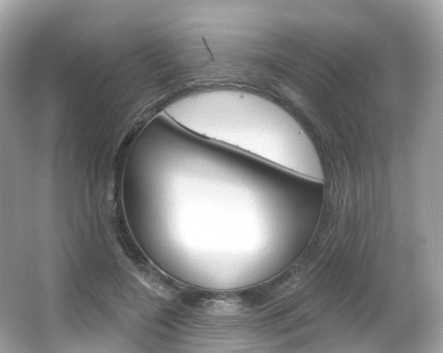 X0000066090548200603101006