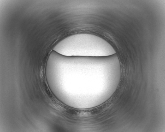 X0000066090549200603101006