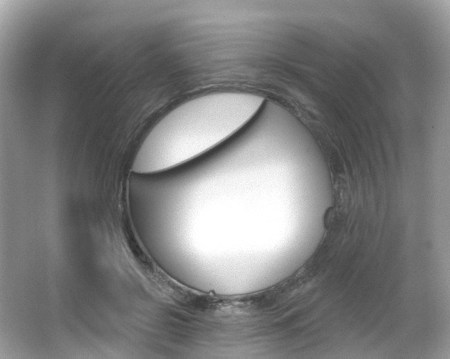 X0000066090550200603101006