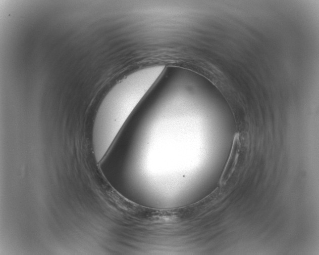X0000066090552200603101006