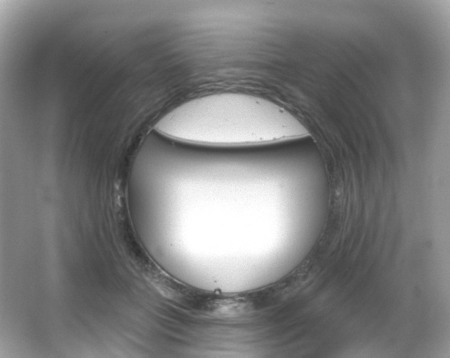 X0000066090555200603101006