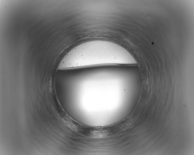 X0000066090556200603101006