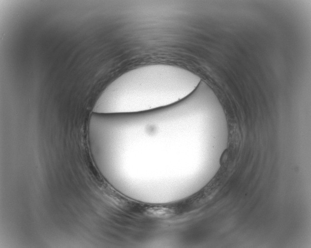 X0000066090557200603101006