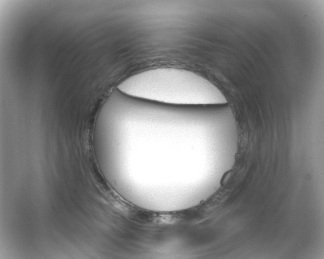 X0000066090565200603101006