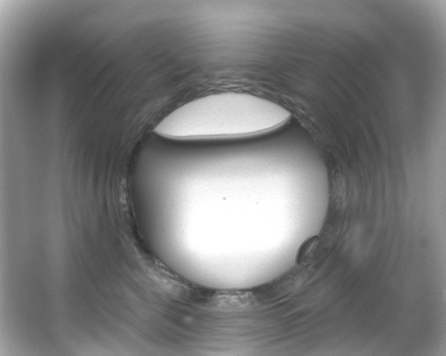 X0000066090571200603101006