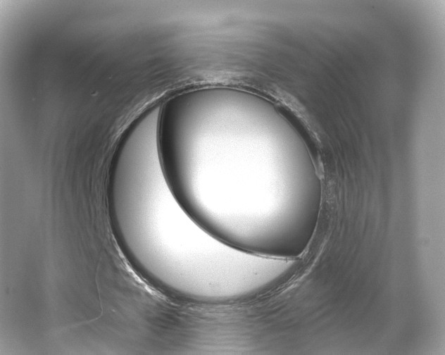X0000066090577200603101005