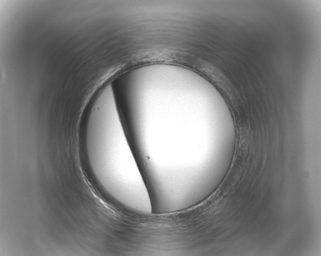 X0000066090578200603101005