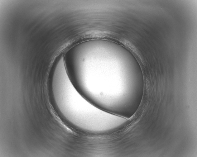 X0000066090581200603101005