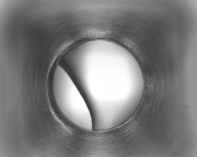 X0000066090582200603101005