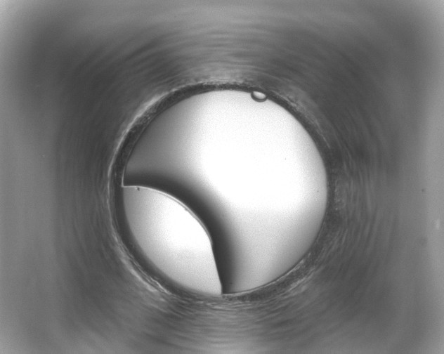 X0000066090584200603101005