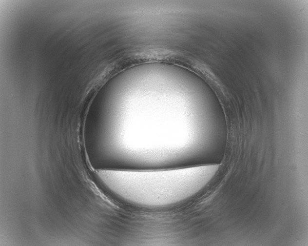 X0000066090585200603101005