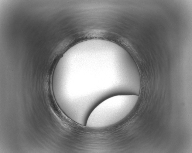 X0000066090586200603101005