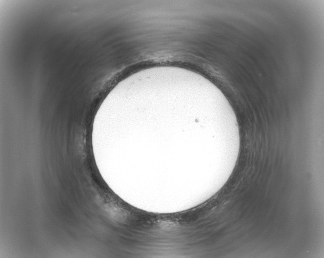 X0000066090592200603101005