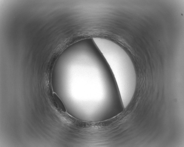 X0000066090593200603101005