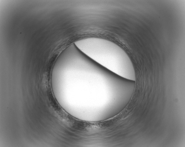 X0000066090594200603101005