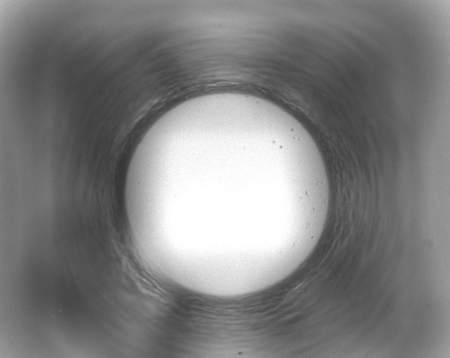 X0000066090595200603101005