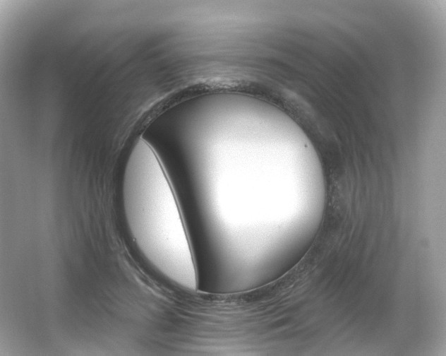 X0000066090596200603101005
