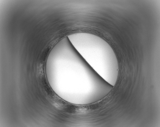X0000066090598200603101005