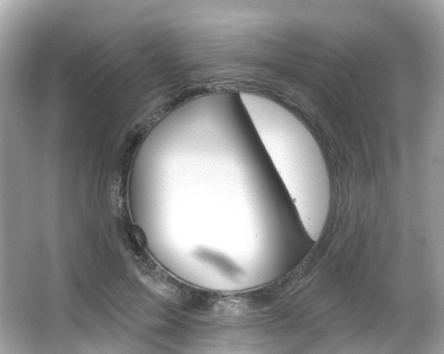X0000066090599200603101005