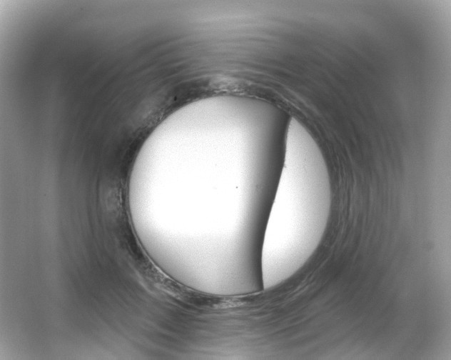 X0000066090603200603101005