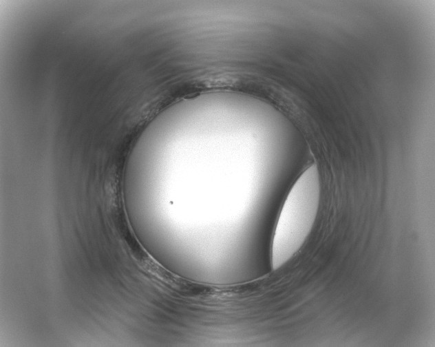 X0000066090604200603101005
