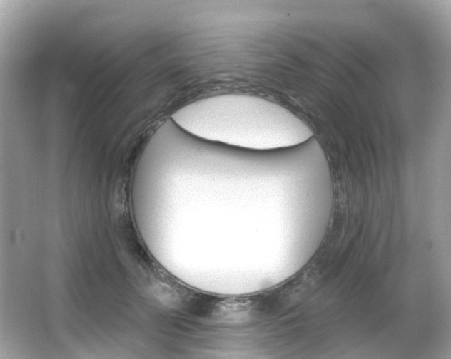 X0000066090606200603101005