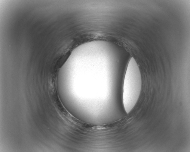 X0000066090607200603101005