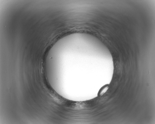 X0000066090612200603101005