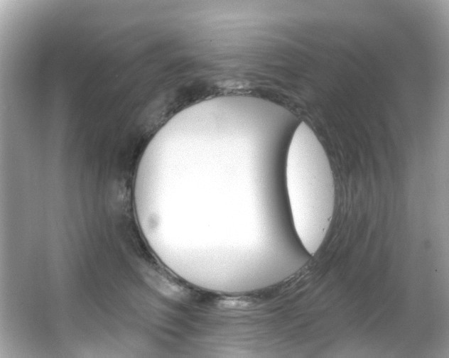 X0000066090614200603101005