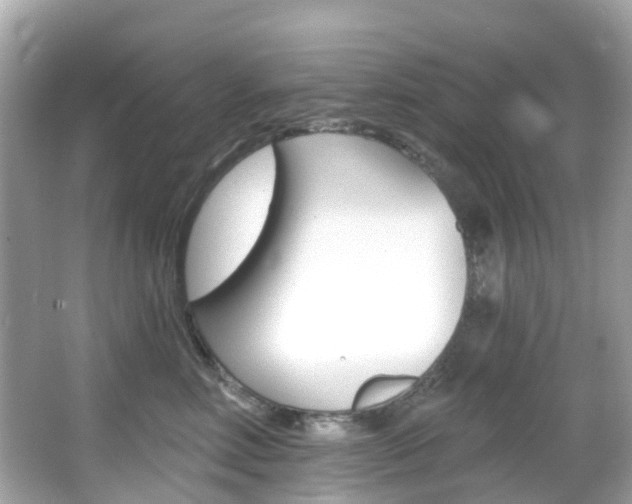X0000066090618200603101005
