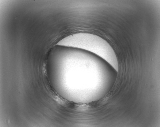 X0000066090621200603101004