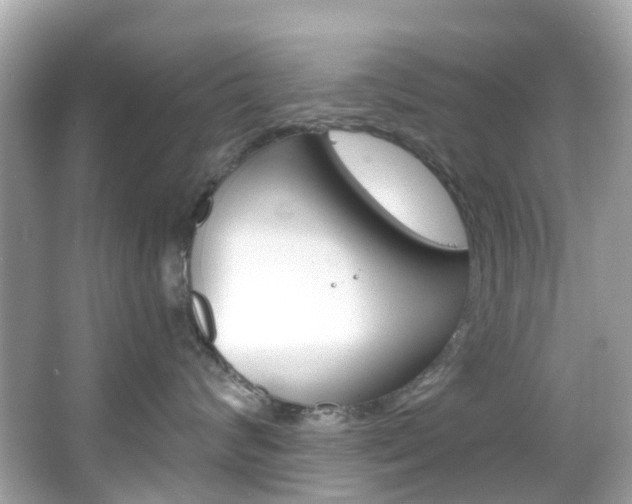 X0000066090624200603101004
