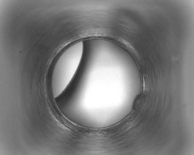 X0000066090627200603101004