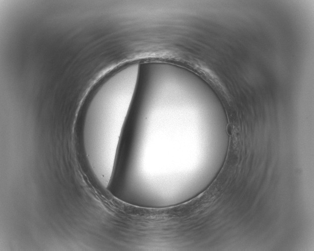 X0000066090628200603101004