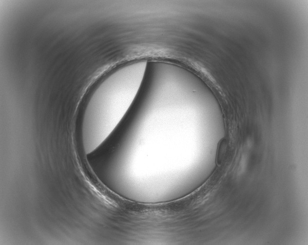 X0000066090629200603101004