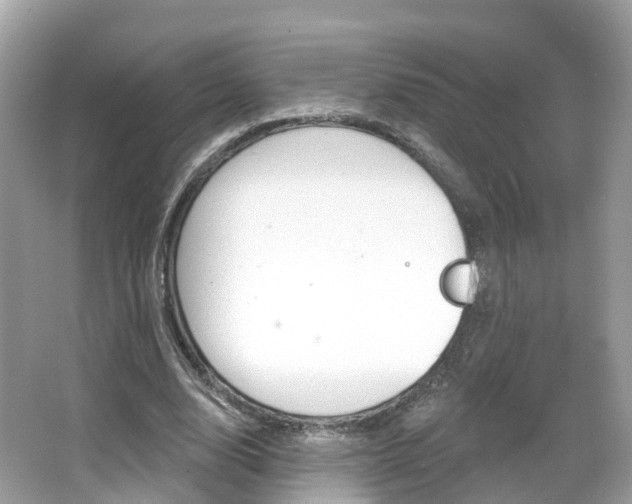 X0000066090632200603101004