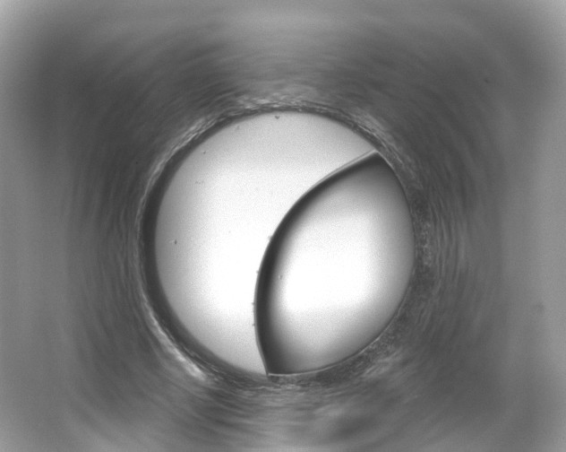 X0000066090634200603101004