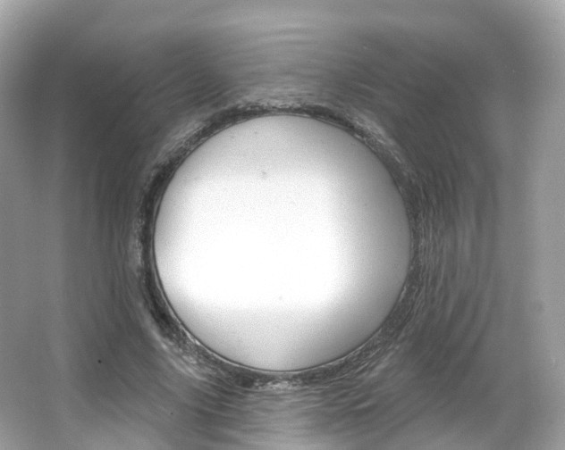 X0000066090635200603101004