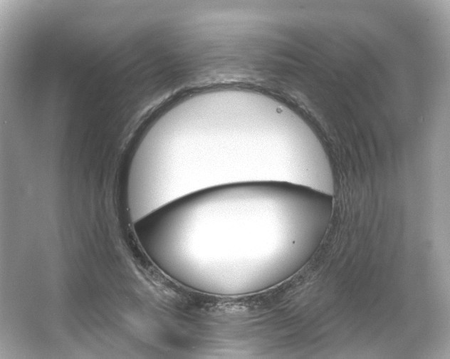X0000066090640200603101004