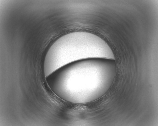 X0000066090642200603101004