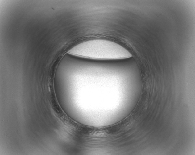 X0000066090643200603101004