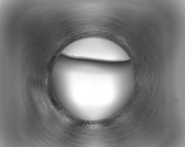 X0000066090645200603101004