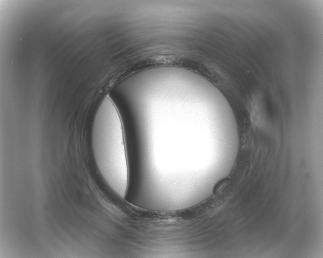 X0000066090646200603101004