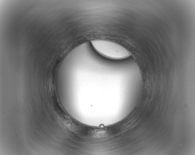 X0000066090651200603101004