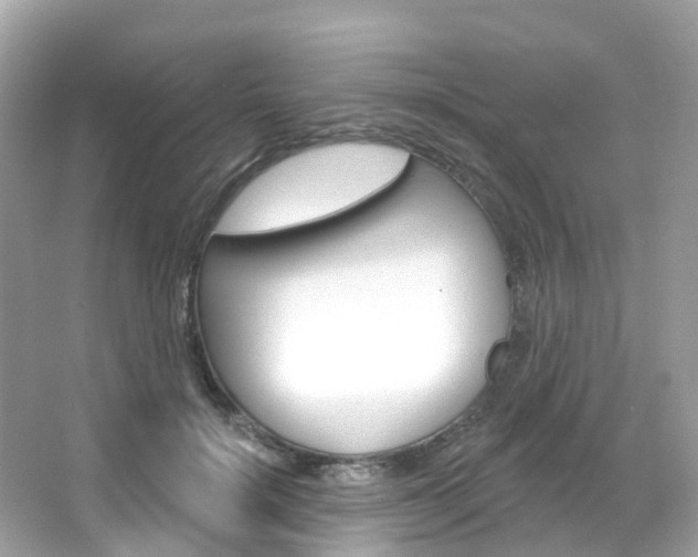 X0000066090652200603101004